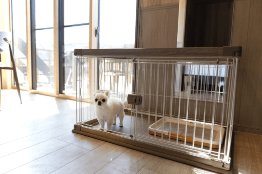 ◆◇◆愛犬と過ごす『蔵王の自然と薪火のくつろぎプラン』◆◇◆