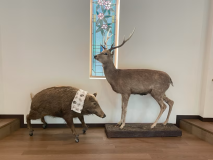 【館内】迫力あるイノシシとシカがお出迎え