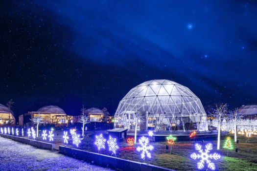 ✨琵琶湖ミュージックイルミネーション✨～光り輝く幻想的な空間で、仲間や家族と一緒に過ごす特別なステイ♪～【素泊まり・持ち込みプラン】
