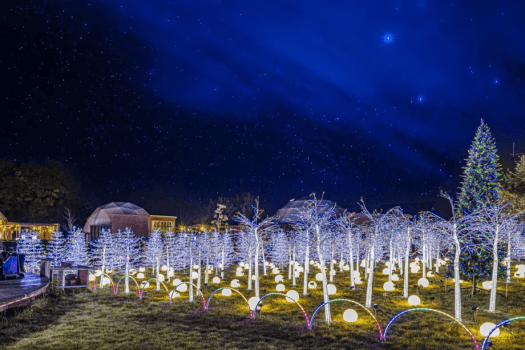 ✨琵琶湖ミュージックイルミネーション✨～光り輝く幻想的な空間で、仲間や家族と一緒に過ごす特別なステイ♪～【素泊まり・持ち込みプラン】