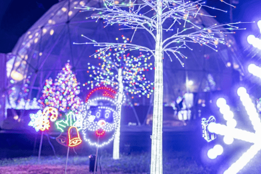 ✨琵琶湖ミュージックイルミネーション✨～光り輝く幻想的な空間で、仲間や家族と一緒に過ごす特別なステイ♪～【素泊まり・持ち込みプラン】