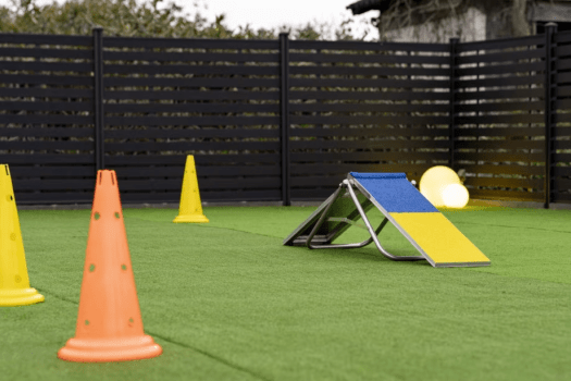 【1泊2食・贅沢BBQディナープラン】3大和牛の"近江牛"や&rdquo;近江地鶏&rdquo;など、エリアを代表するブランド食材を思う存分堪能するプレミアムメニュー