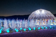 ✨琵琶湖ミュージックイルミネーション✨～光り輝く幻想的な空間で、仲間や家族と一緒に過ごす特別なステイ♪～【素泊まり・持ち込みプラン】