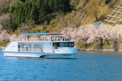 【春の絶景体験】海津大崎 桜クルーズチケットプレゼント ― 桜と過ごすプレミアムグランピングプラン