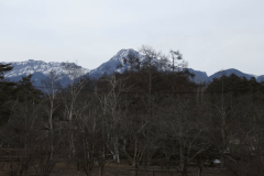 客室からの景色