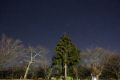 施設の公園　シンボルの樅(もみ)の木
澄んだ空気と満天の星空