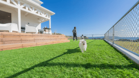 【愛犬同伴プラン】素泊まり/サウナ/BBQグリル/ドッグラン【最大10名様(大人6,子供4)まで】