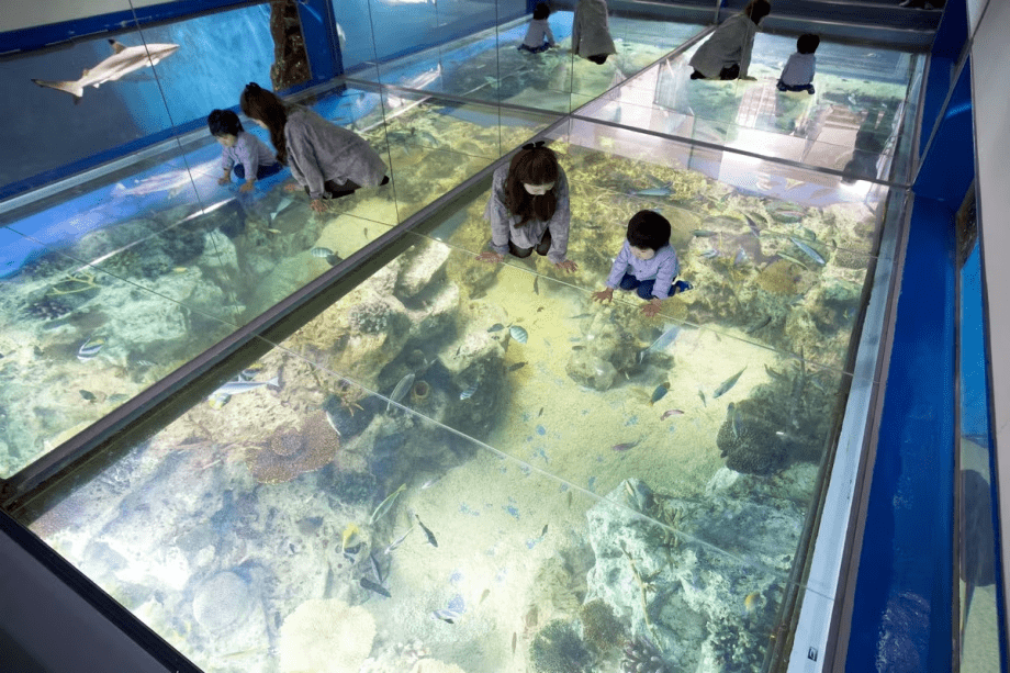見て触れて楽しめる越前松島水族館 見て触れて楽しめる越前松島水族館