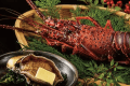 贅沢食材!「伊勢海老」に「鮑のステーキ」付き<特選極みプ
ラン> 贅沢食材!「伊勢海老」に「鮑のステーキ」付き<特選極みプ
ラン>