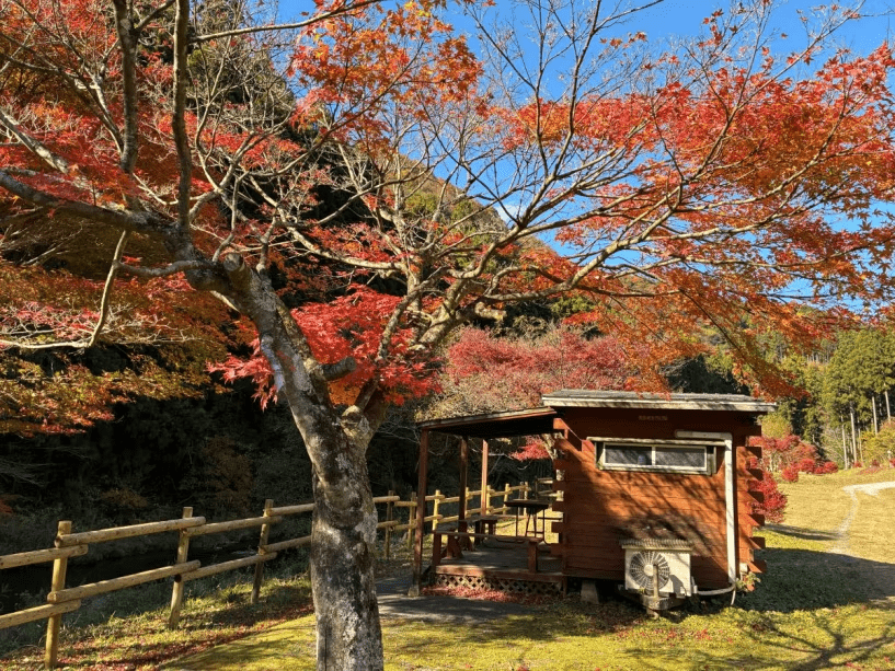 冬のぬくもりプラン　ログケビン