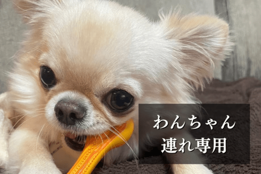 【ワンちゃん連れ専用】わんちゃんアメニティの無料貸し出しあり♪～大切な愛犬と一緒に過ごす贅沢貸切コテージ～