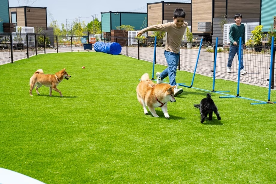 【ワンちゃん同伴可】プライベートテラスの様にゆっくり過ごしてリフレッシュ(素泊まり) 【ワンちゃん同伴可】プライベートテラスの様にゆっくり過ごしてリフレッシュ(素泊まり)