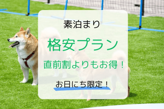 【お日にち限定】直前割よりさらにお得！プライベートテラスを満喫♪「格安プラン」（素泊まり）