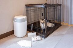 デラックスヴィラ（ワンちゃん同伴可）