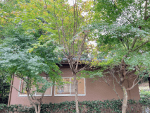 高原館・森の離れ（外観）