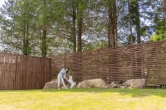 葵-AOI-【愛犬同伴可能】