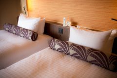 スーペリアツイン（テラス付）35平米