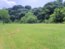 芝地でワンちゃんとのびのび過ごしましょう！