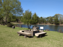 水辺近くの開放的な空間でBBQはいかがでしょうか♪