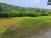 電源なしのオート区画サイトは、開放的なサイトから木陰のサイトまで幅広くあります。お天気と相談しながら選ぶのも良いかも！