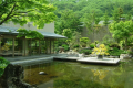 【中庭】大きな池のある中庭は、夏になると緑に囲まれ清々しい雰囲気です