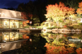 【中庭】紅葉の中庭のライトアップ