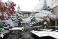 【中庭】静寂な雪景色の中庭