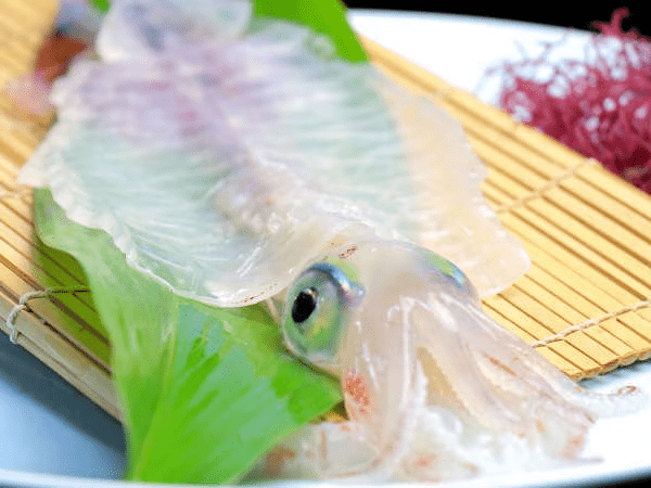 リーズナブル!?なのに活きイカとA5ランク佐賀牛or極上あわび！（お食事処）【大浴場には海を一望できる極上サウナ】