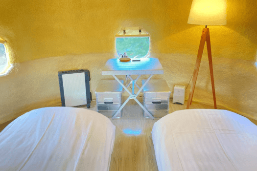 ドッグラン付きジオルーム(ゆったりツイン)