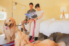 大型犬でもゆったりと過ごせます。