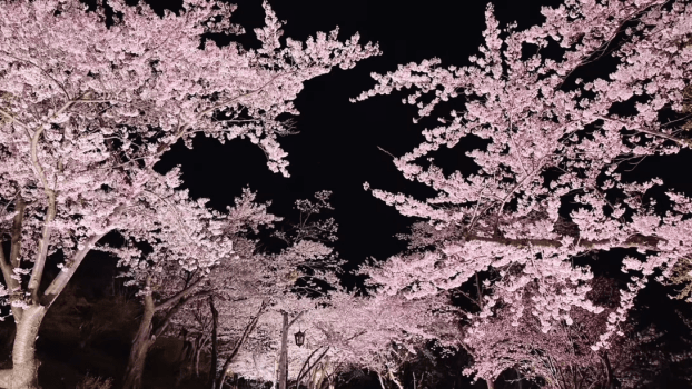 【ＧＷ】☆★ゴールデンウイークプラン４月２９日～５月５日限定★☆特別和洋会席プラン