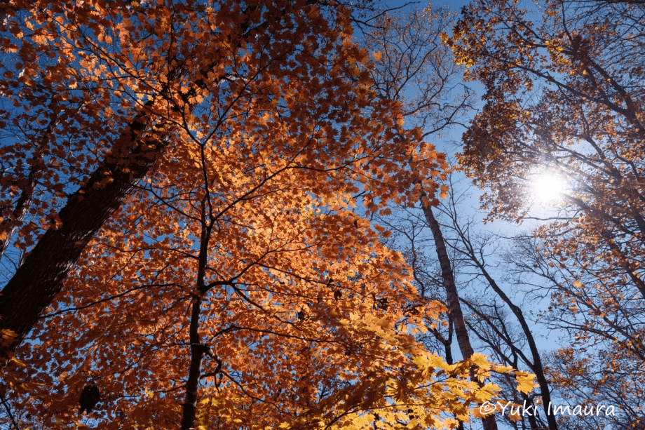 今浦友喜写真教室2026年9月～11月