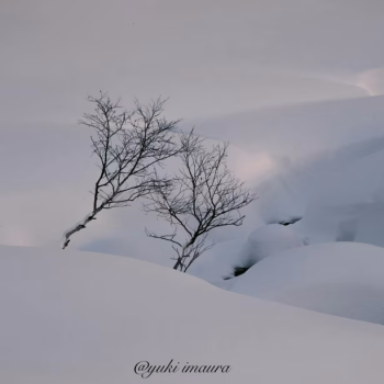 今浦友喜写真教室