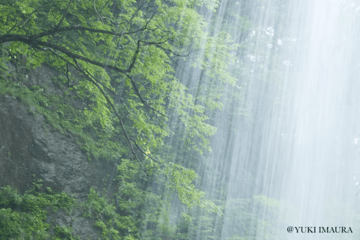 今浦友喜写真教室2026年4月～7月