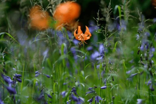 今浦友喜写真教室2026年4月～7月