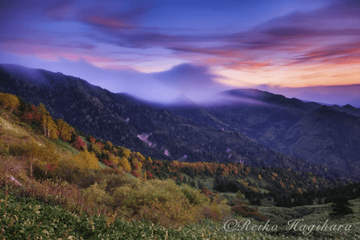 萩原れいこ写真教室2026年10月～バス横付け・楽々ゆったりコース～