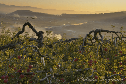 萩原れいこ写真教室2026年9月～11月