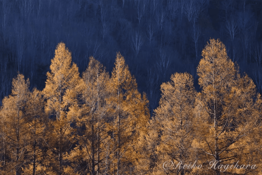 萩原れいこ写真教室2026年9月～11月