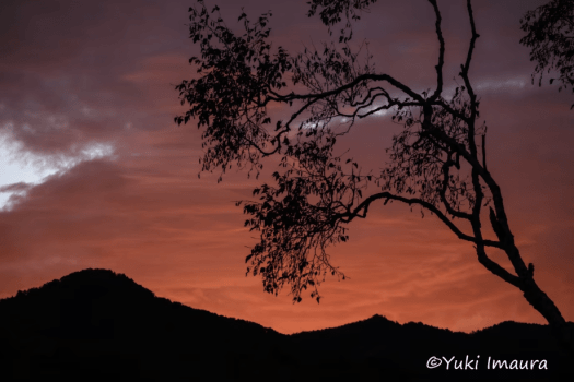 今浦友喜写真教室2026年9月～11月