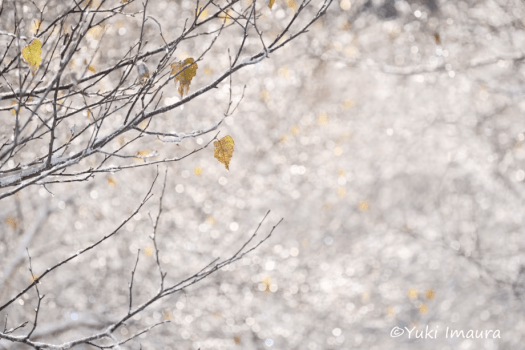 今浦友喜写真教室2026年9月～11月