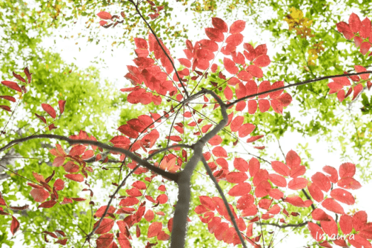 今浦友喜写真教室2026年9月～11月