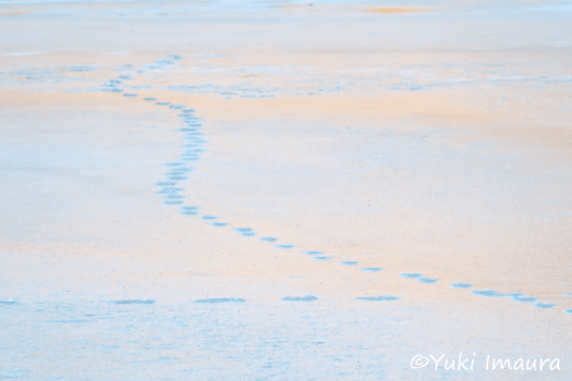 今浦友喜写真教室2026年12月～2027年3月