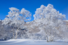 萩原れいこ写真教室2025年12月～2026年3月