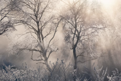 今浦友喜写真教室2025年12月～2026年3月