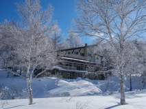 白樺の霧氷に囲まれた一軒宿