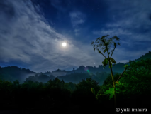 今浦友喜写真教室2026年4月～7月