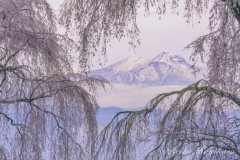 萩原れいこ写真教室2026年4月～7月