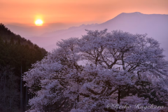 萩原れいこ写真教室～バス横付け・楽々ゆったりコース～