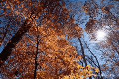 今浦友喜写真教室2026年9月～11月