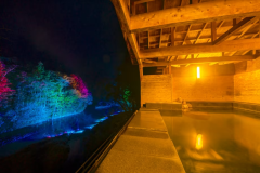 素泊まりプラン【とろとろ温泉でゆったり】